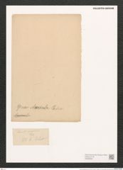 Auricula amphitrites Castr. (de-Toni-Nr.: Genus 31, Species 1374) Zeichnungen Sammlung Grunow (NHMW-BOT-W0369830)